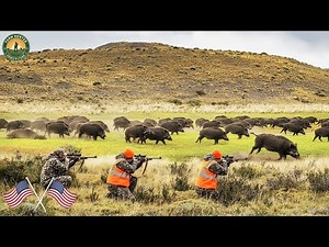 How Farmers and Hunters Deal with Millions of Wild Hogs and Invasive Elephants | wild boar hunting