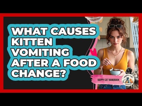 What Causes Kitten Vomiting After A Food Change? - Happy Cat Handbook