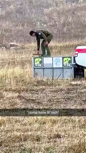 Funny Release time #funny #animals #funnyvideo #fails #foryou | funny animals