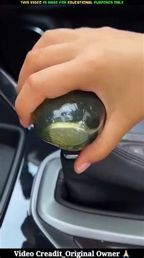 Dad Played With ‘Dog Poop’ on the Car?! 😱🚗💩 | Cleaning Gone Wrong… or Genius? 😂