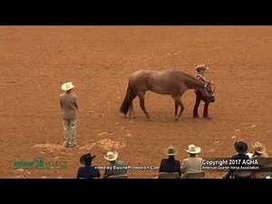 A Judge's Perspective: 2017 AQHA Select Showmanship World Champion