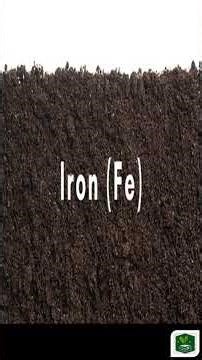 सिंगल सुपर फॉस्फेट चे जबरदस्त फायदे | Super Benefits of SSP | Single Super Phosphate | SSP #shorts