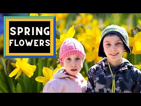 Spring Flowers For Kids - Spring is Here!