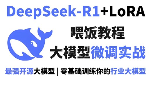 【喂饭教程】30分钟学会DeepSeek R1模型Lora微调训练，适合借鉴学习，保姆级教程，全程干货无废话，草履虫都能学！