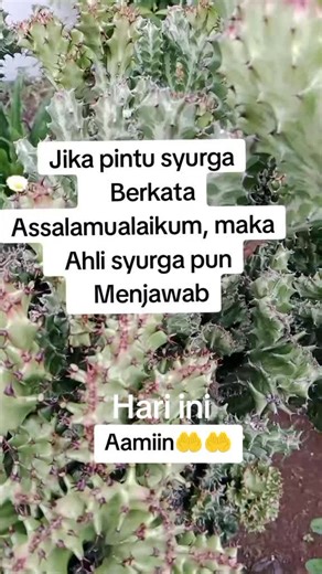 #padahariini Aamiinkan 🤲 #doa #terbaik #lewatberanda #amin