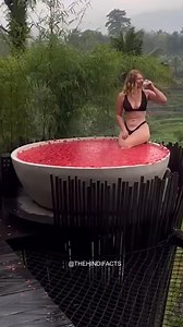 3.5M views · 10K reactions | Weirdest Island on Earth। #earth #reels #viralreels #fbreel #socotraisland #facts #interesting #islandlife #gk | Tribal Secrets | Facebook