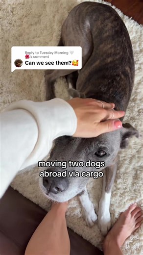 Replying to @Tuesday Morning 🤍🌺