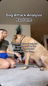 What do you think… are dogs who hurt someone scary all of the time or is it possible they are really very nice nearly all of the time? What’s unsafe about the assumption that problem dogs must be truly problematic all or most of the time to be serious? Does a dog being nice most of the time give people a false sense of security? #dogbehavior #dogtraining #reactivedog #anxiousdog | Thinking Canine