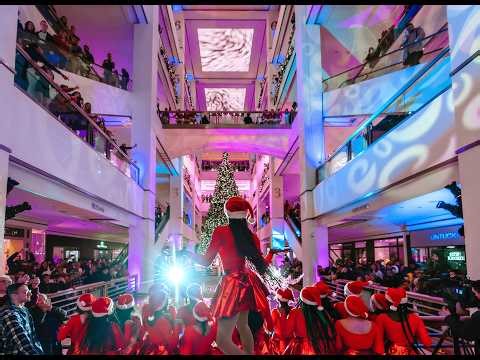 llluminate 900: Holiday Tree Lighting Benefiting Make-A-Wish® Illinois 2025
