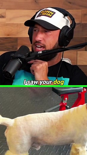 🐶 JAKE ALMOST WENT WILL SMITH ON MIKE‼️😂 #dog #willsmith #chrisrock #jakepaul #mikemajlak #impaulsive #podcast