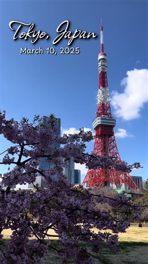 Spring magic at Prince Shiba Park! The sakura are in full bloom, creating the perfect spot for hanami. Don’t miss this breathtaking view! 🌸 #tokyo #japan #weatherupdate #weather #cherryblossom #sakura #spring2025 #japantok #discoverjapan #japantiktok🇯🇵 #japantravel #creatorsearchinsights #fyp #foryou #fypツ #foryoupage #fyppppppppppppppppppppppp
