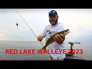 Red Lake Walleye fishing 2023