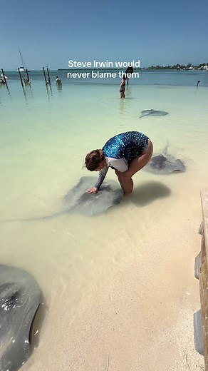 Interacting with Stingrays in Belize: A Respectful Encounter