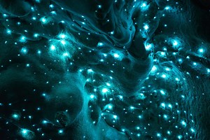 The Amazing Waitomo Glowworm Caves in New Zealand
