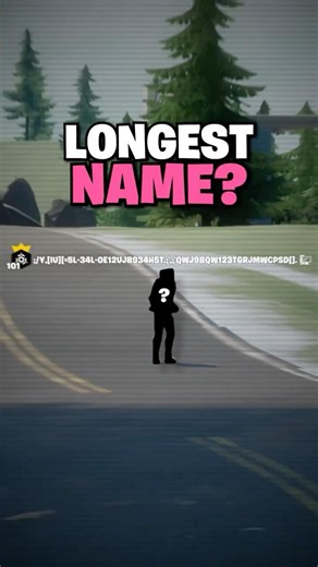 Which Fortnite Skin Has The Longest Name?
