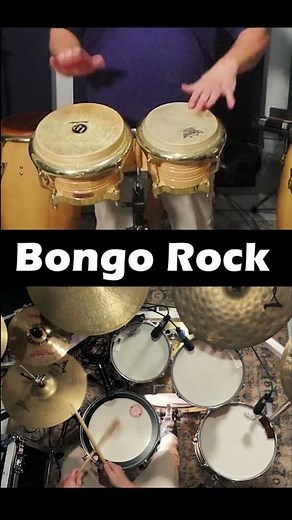 Bongo Rock - shorts