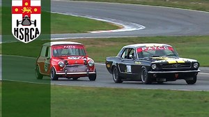 158K views · 142 reactions | This Mini and Mustang Battle is great entertainment! Who doesn't love watching this sort of fight? | BLEND LINE TV | Facebook