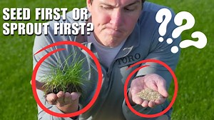 Why Some People Grow Grass Seed Before Planting It
