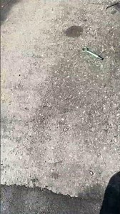 Steelmate Solar-powered TPMS - Real-time Tyre Pressure Monitoring