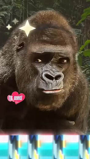 Milton Raul Lastra A on TikTok