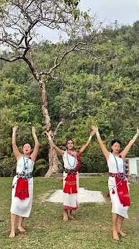 NYISHI FOLK SONG/ NYISHI DANCE /ARUNACHAL TRADITIONAL DANCE /SEPPA NYISHI DANCE/ARUNACHALBELLYDANCER
