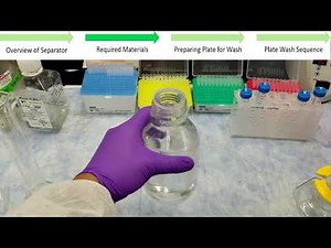 How To: Perform Plate Washes During a Multiplex Protein Analysis Assay Using a Hand-held Magnet