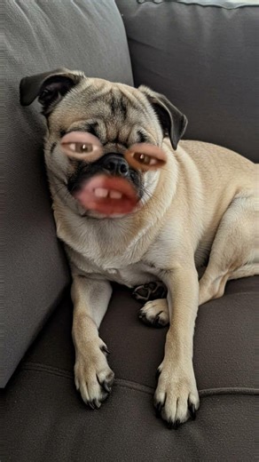 14 de febrero de 2026