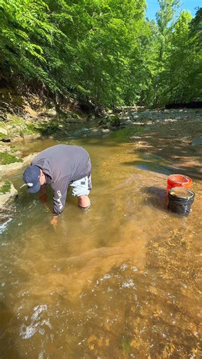 Getting Gold In The D.C. #goldprospecting #goldrush #fishngold #gold #emas | FishnGold