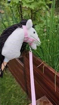 Making of an Hobby Horse "Fohlen"