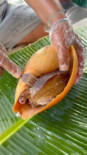 Giant Sea Shell Fry! CRISPY Seafood ASMR 🤤