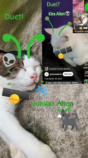 Alien cat //Type Alien cat and your keyboard will spawn "Alien cat" in your keyboard(for facemoji)