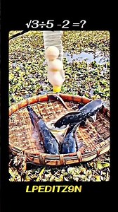 DIY Plastic Bottle Trap for Giant Catfish 🐟