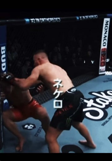 Gay cheese #UFC #justingaehtje #mma #fyp #viral | cheese