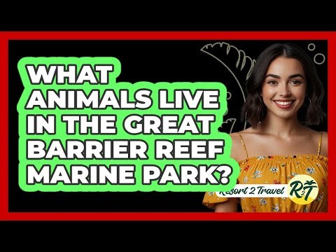 What Animals Live In The Great Barrier Reef Marine Park?