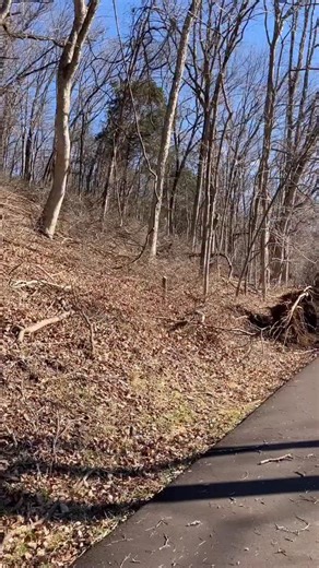 From Sarah Newman “Percy Warner Park in Nashville. Damage from ice storm is pretty bad. Taken today” | James Spann