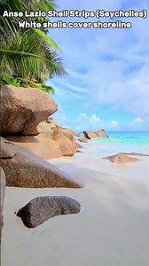 Top 3 Beaches Covered in White Shells 🤍🏖️ | INFINIAFACTS