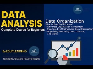 Data Organization in Data Analysis | Structuring and Managing Data