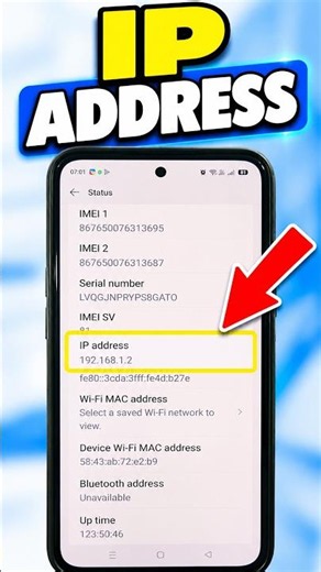 How to Check Your Phone IP Address | Find IP Address Settings on Android & iPhone