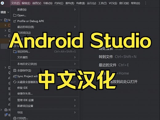Android Studio 中文汉化 2