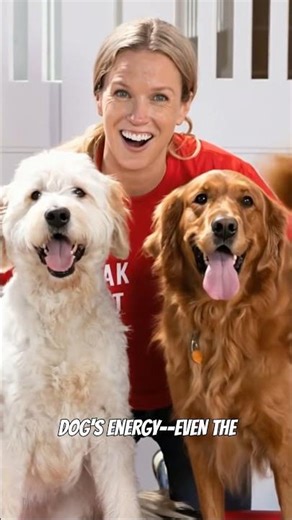 Camp Bow Wow Pensacola FL