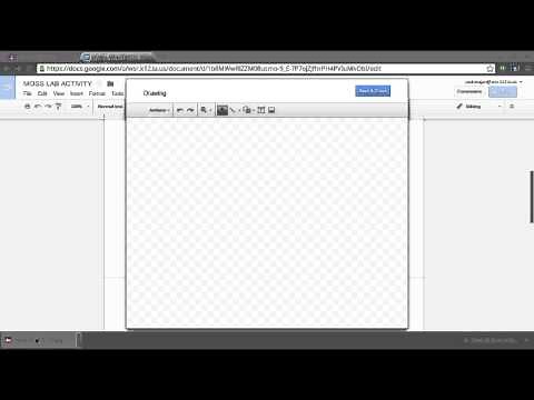 HOW TO LABEL YOUR PICS IN GOOGLE DOCS