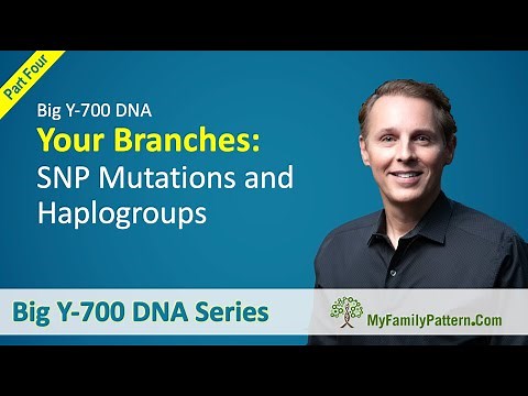 4 - Your Branches: SNP Mutations, Haplogroups, and the Big Y-700 DNA Test