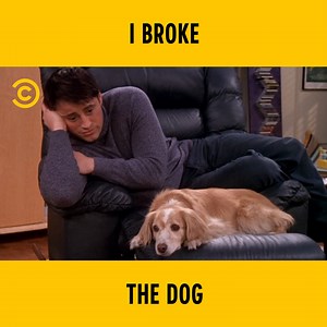 619K views · 10K reactions | With that dog, I'd be the happiest person in the world!  | Comedy Central UK | Facebook