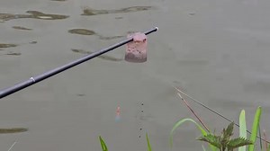 1.3M views · 8.8K reactions | When you've got the perfect depth in the margins and even the skimmers pay it a visit...  #dynamite #dynamitebaits #marginfishing #speedy #skimmers #betainegreenpellets | Dynamite Baits - Match & Coarse | Facebook