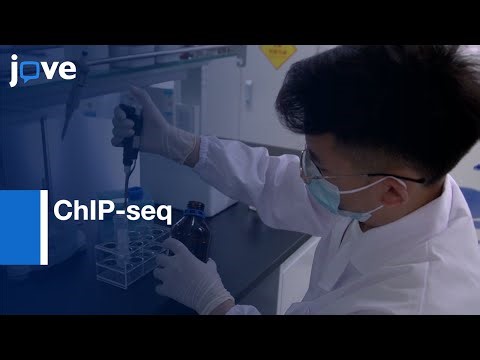 Genome-wide Analysis of Histone Modifications using ChIP-seq | Protocol Preview