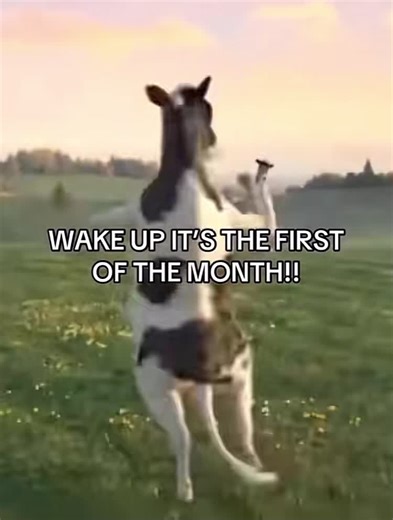 Wake Up: First of the Month Fun Ritual