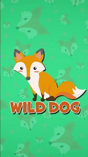 Are Dogs And Foxes Related