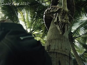 Entangled by the Snake King! 🐍⚠️ #SnakeKing #蛇王2021 | 爽剧热播 hot drama
