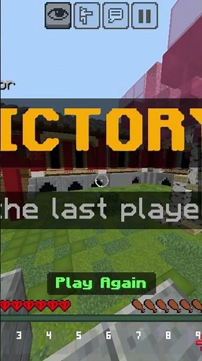 nether games fighting with pro player