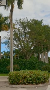 64K views · 1.1K reactions | We got a pooping bandit - Prank call  #prank #prankvideo #jokes #prankster #prankcall | Funny Prank calls | Facebook